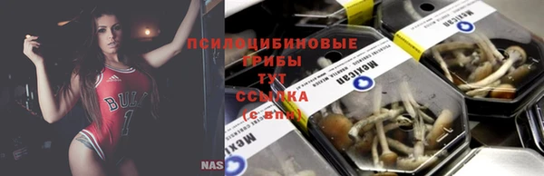 apvp Белокуриха