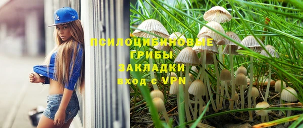 apvp Белокуриха