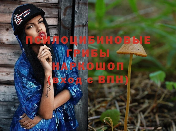spice Балахна