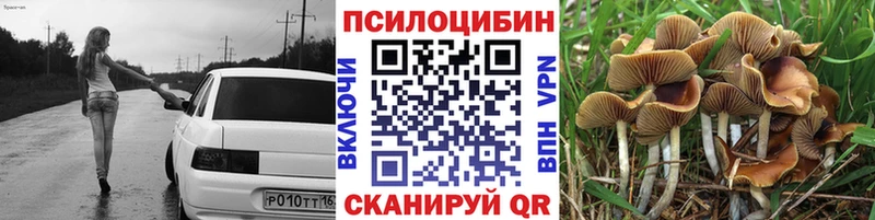 Галлюциногенные грибы Psilocybine cubensis  Чехов 